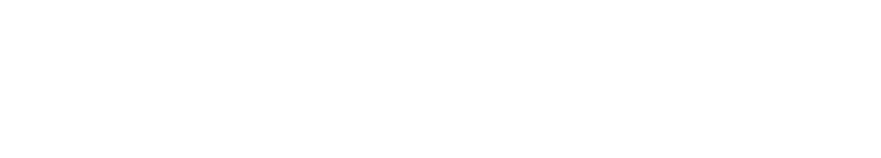 FirstFleet logo